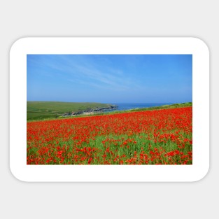 Poppy Field Sticker